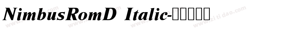 NimbusRomD Italic字体转换